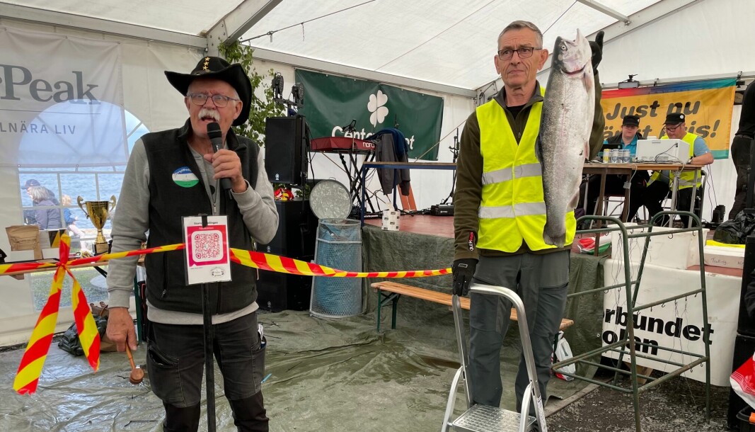 Åke Granlöv fick hjälp av Ove Jonsson på fiskauktionen. Här auktioneras en regnbåge modell större bort