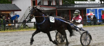 Folkfesten Hotingtravet är i gång Folkfesten Hotingtravet är i gång