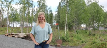 Många tomter till salu i Oviken i höst Många tomter till salu i Oviken i höst