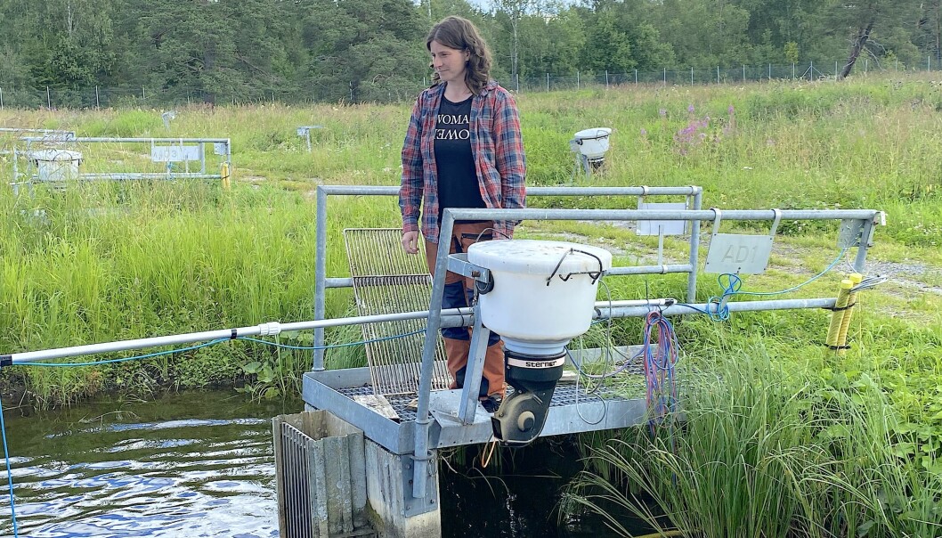 Mariana Backberg tittar ut över en av fiskdammarna. Hon är ny platschef vid Vattenbrukscentrum Norr.