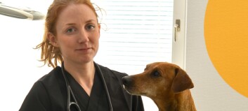 VetZervice öppnar ny veterinärklinik i Nälden – satsar på hembesök