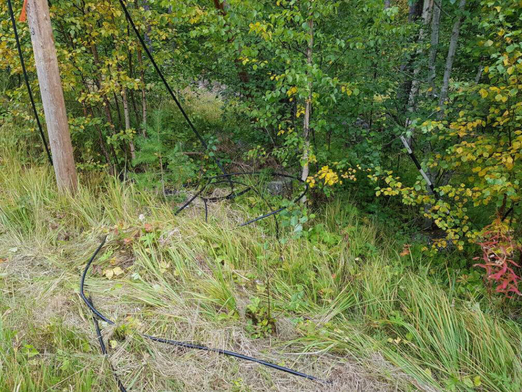 Fiberkabeln har fallit ner på marken och kan lätt kapas av. Fiberkabeln har fallit ner på marken och kan lätt kapas av.