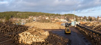 Efter rekordåren – nu väntar stora utmaningar för Gällö Timber