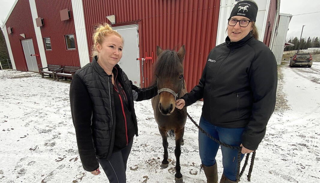 Michaela Skoglöf är en av tre anställda som arbetar vid ridskolan tillsammans med chefen Caroline Karlsson.