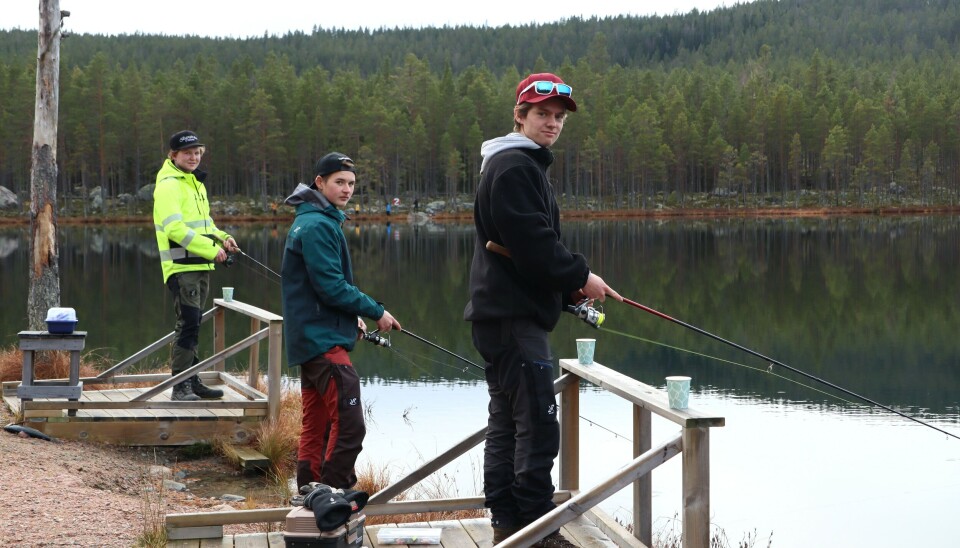 Alwin, Kevin och Herman hade tagit sig till Stortjärn med sina Epor. De är vana att fiska och hade redan fått napp. Alwin, Kevin och Herman hade tagit sig till Stortjärn med sina Epor. De är vana att fiska och hade redan fått napp.
