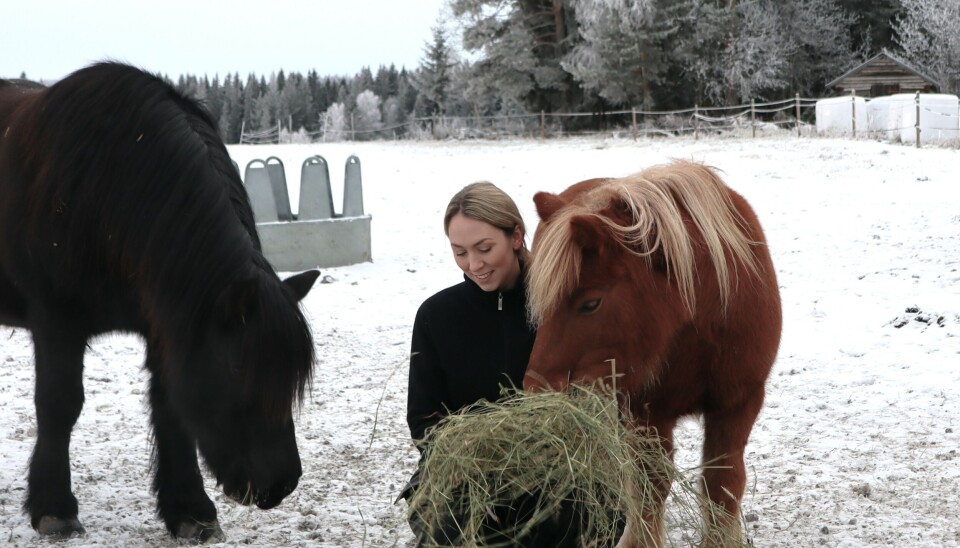 På gården finns egna hästar, en nordsvensk och en shettis. På gården finns egna hästar, en nordsvensk och en shettis.