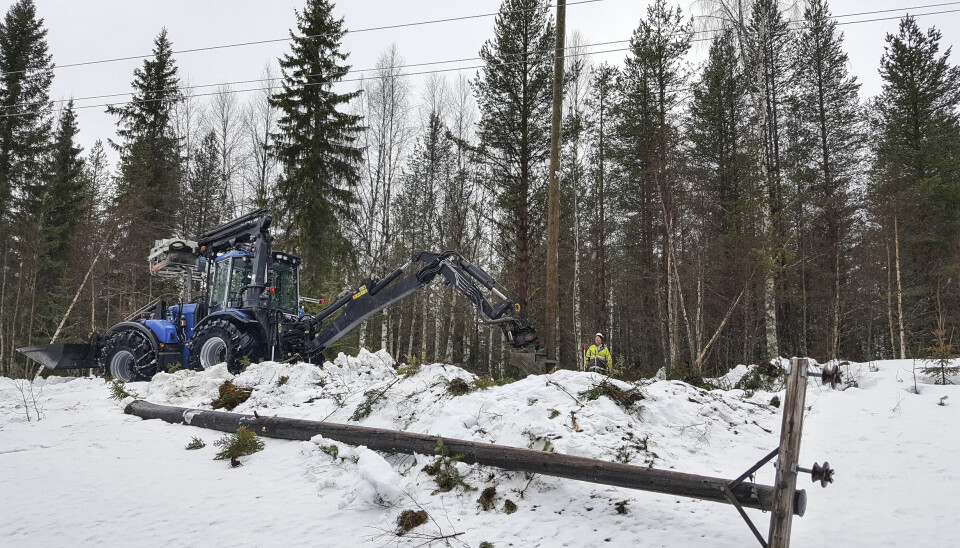 Snötyngda träd som faller över ledningar har orsakat många strömavbrott i Strömsunds kommun.
