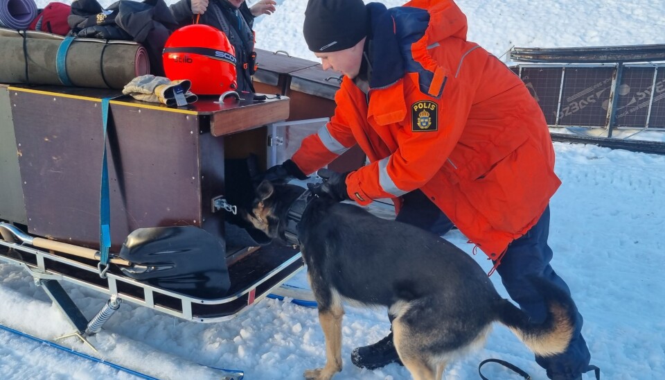 Polisen Jocke hjälper sin hund Thor att gå in i transportburen för resan upp i fjällen. 'Han har varit med ett tag men är ny på lavin'. Polisen Jocke hjälper sin hund Thor att gå in i transportburen för resan upp i fjällen. 'Han har varit med ett tag men är ny på lavin'.