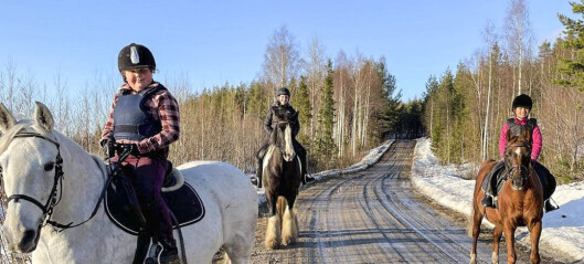 Nytt inbrott på Bräcke Ridklubb Nytt inbrott på Bräcke Ridklubb