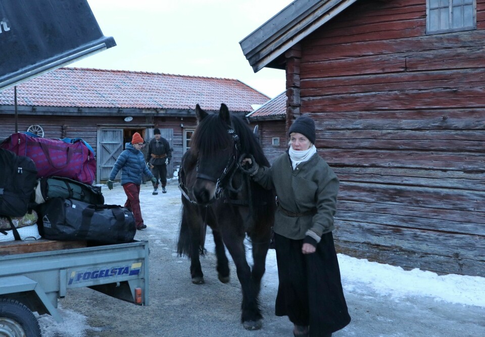 Ann Ericsson hämtar sin häst Fjåsen från stallet när det är dags. Planeringen inför resan är noggrann och följbilar reser med mat och packning hela vägen.