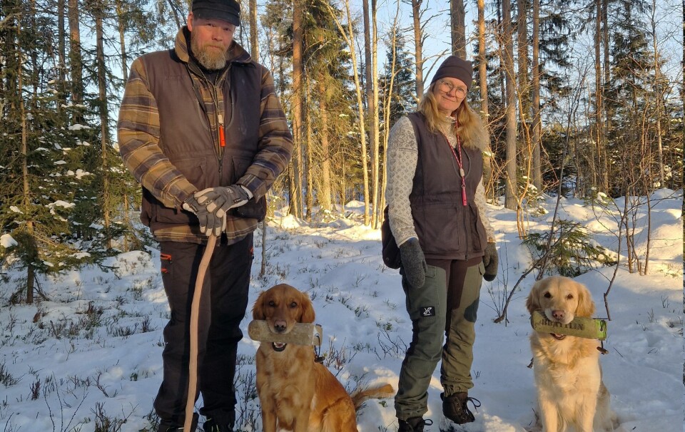 Catharina och Runo Brattlin har valt golden retriever då de tycker om att jaga med hunden. “Det är en apporterande fågelhund, genom träningar och kurser får man träffa andra likasinnade och se mycket utav Sverige”.