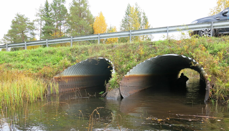Den gamla rörbron på vägen mellan Gåxsjö och Ottsjön ska bytas ut.