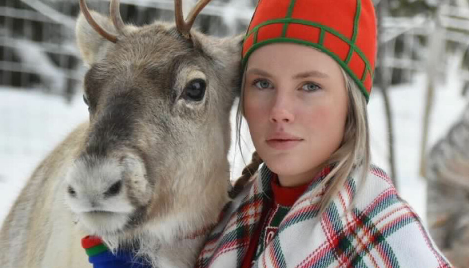 Evelina bryr sig om alla delar av den samiska kulturen men renskötseln är det som ligger henne extra varmt om hjärtat Foto Wilma Lindholm