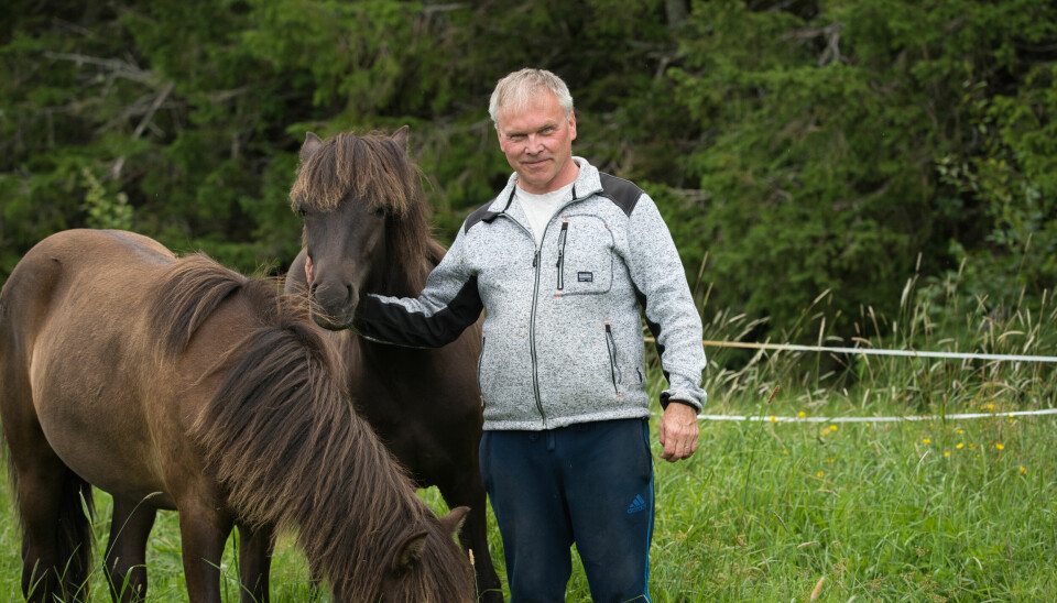 Guðni hemma i Oviken med några med sina hästar. Foto: Privat