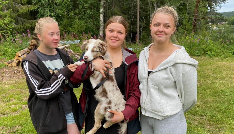 Systrarna Ester, Ida och Ebba Forsberg med hunden Luna.