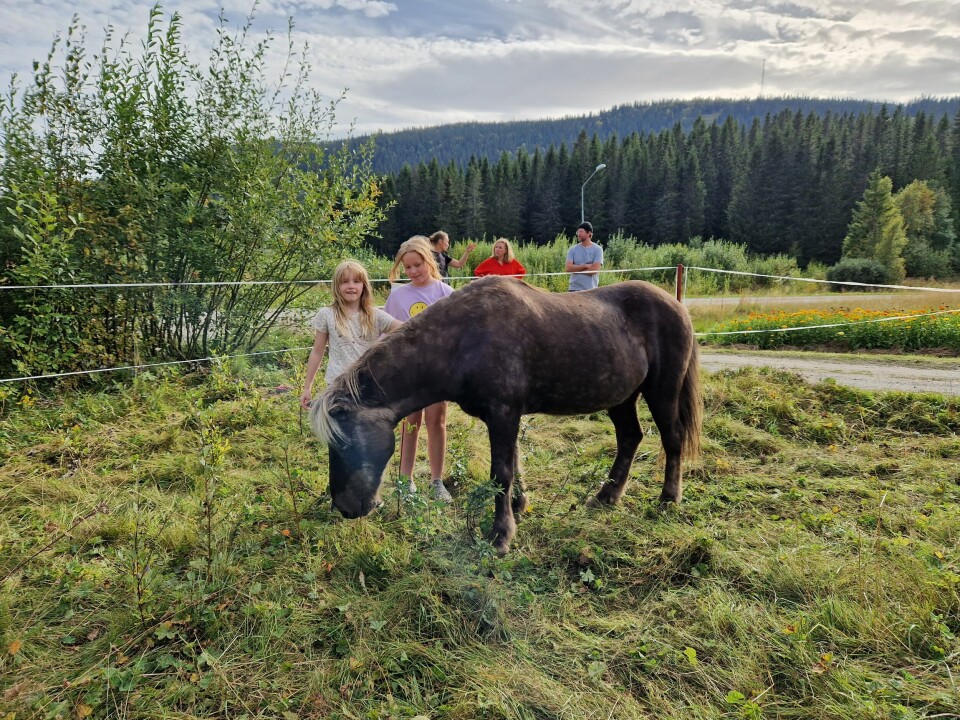 Liv och Lion tyckte att det var roligast med de snälla hästarna från Huså Åreskutans Fjällridning.