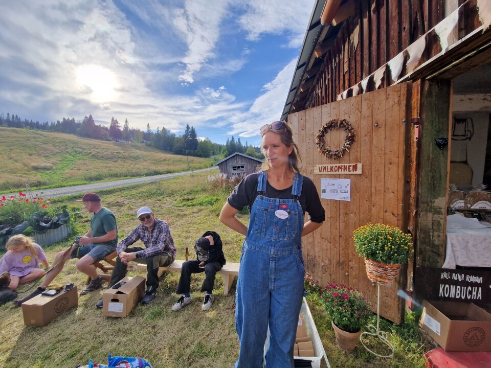 Johanna bjöd på spännande socker och salt och berättade om vin med botaniska. Johanna bjöd på spännande socker och salt och berättade om vin med botaniska.