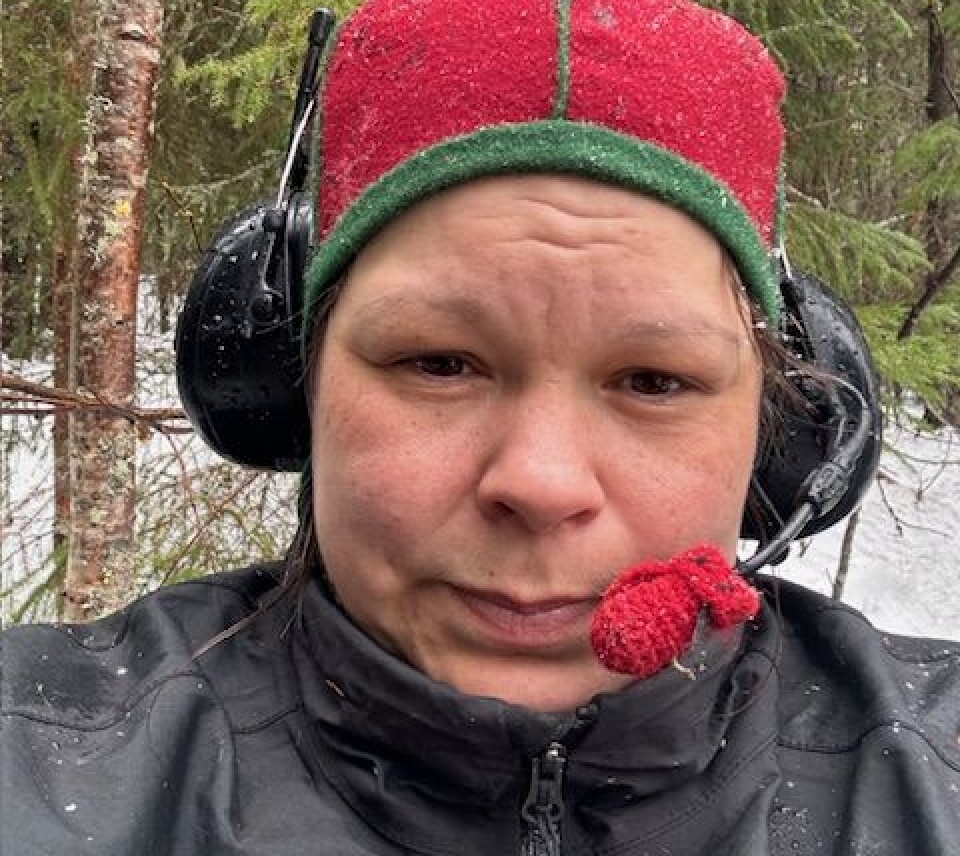 Johan Rydlöv Rekordökning av påkörda renar i länet – antalet fördubblat
