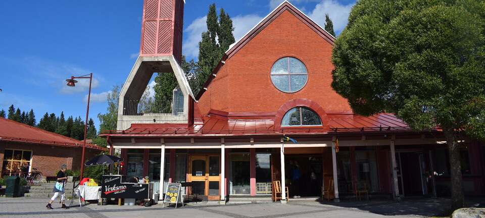 Lyckade stödgrupper i kyrkans regi för ensamma anhöriga