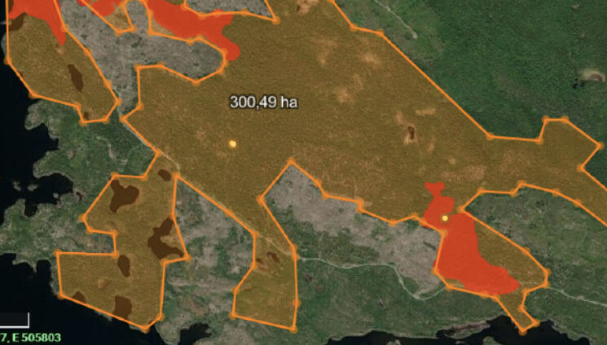 Vill stoppa planerad skogsavverkning i Strömsund