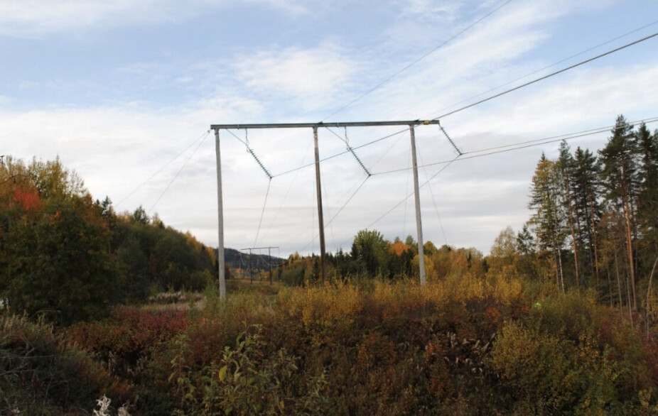 Naturskyddsföreningen kritiserar planerad kraftledning i Berg