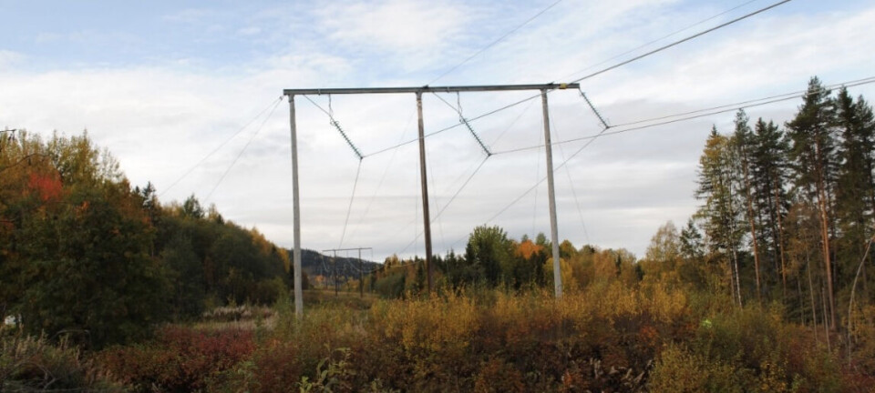 Naturskyddsföreningen kritiserar planerad kraftledning i Berg