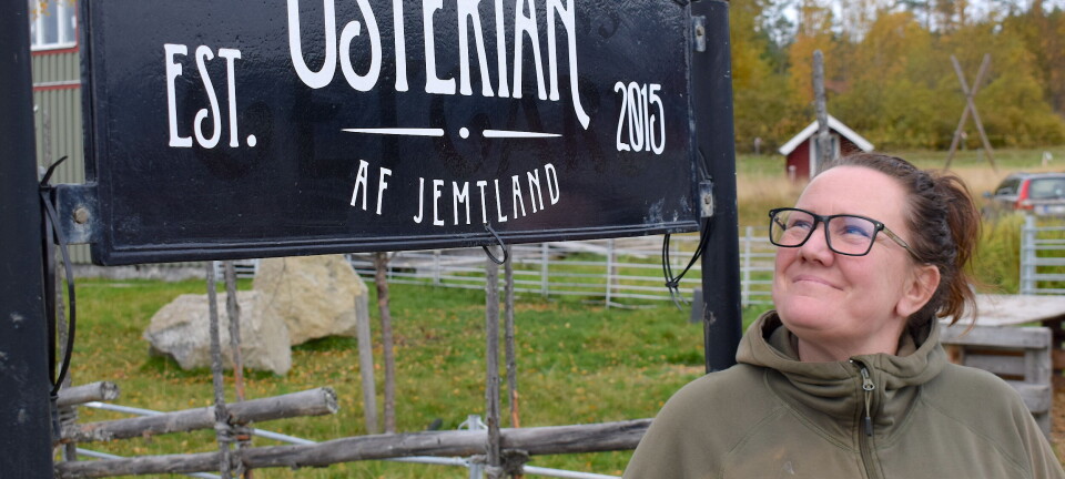 Guldvinnaren som förädlar jämtländsk mjölk i eget mejeri