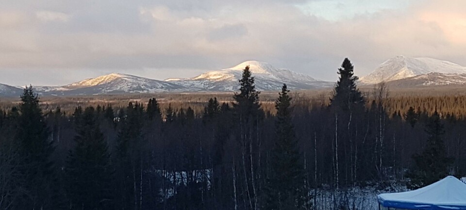 Mineralprospektering i Krokoms fjällvärld – kommunen gör motstånd
