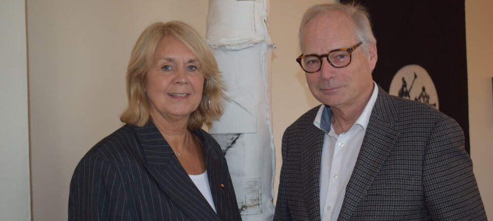 Jämtlands flyg framtid på spel – utredaren vill höra regionens krav