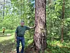 Ulf Swenson bredvid ett av de träd som bedöms vara mellan 150 och 250 år gamla och ha ett högt naturvärde.