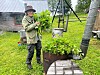 Anki fyller grytan med nyplockad torta. Foto: pPivat.