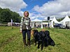 Marina Qvicker pratar apportering. Här med sina hundar Swing, Play, Lemon, Rylan, Indy och Poppy.