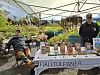 Mark och Mathilde från Fjälltulpaner hade för dagen hjälp av Mathildes syster Pauline, som tittar fram bakom en stor bukett tulpaner. Foto: Jenni Andersson.